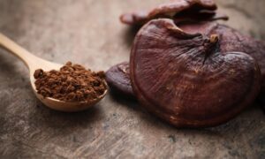 IL REISHI FUNGO DALLE MILLE PROPRIETÀ